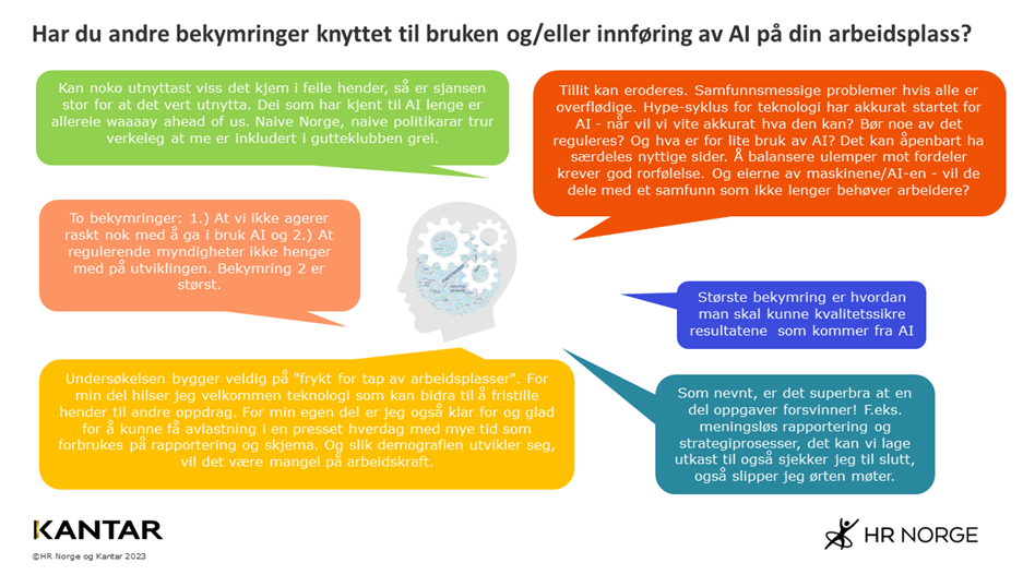 Andre bekymringer knyttet til bruken av AI på arbeidsplassen